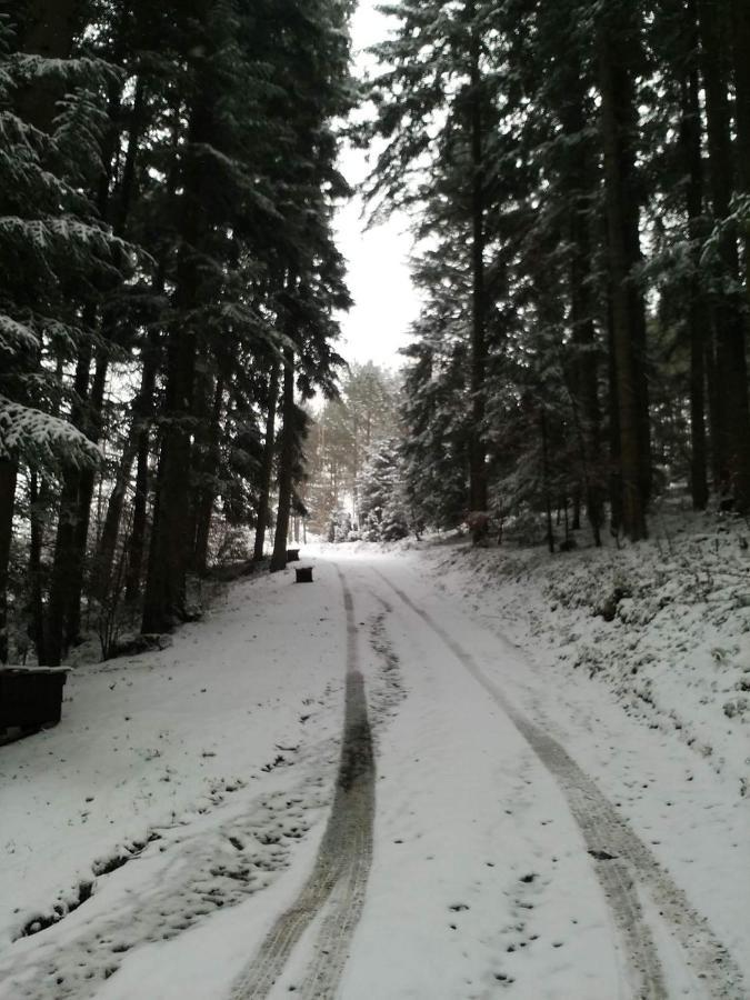 Domek Na Gorce Bieszczady Lesko Kültér fotó