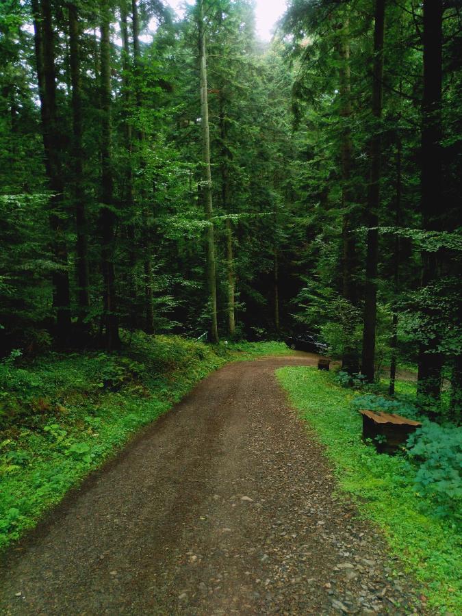 Domek Na Gorce Bieszczady Lesko Kültér fotó