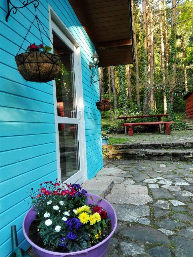 Domek Na Gorce Bieszczady Lesko Kültér fotó