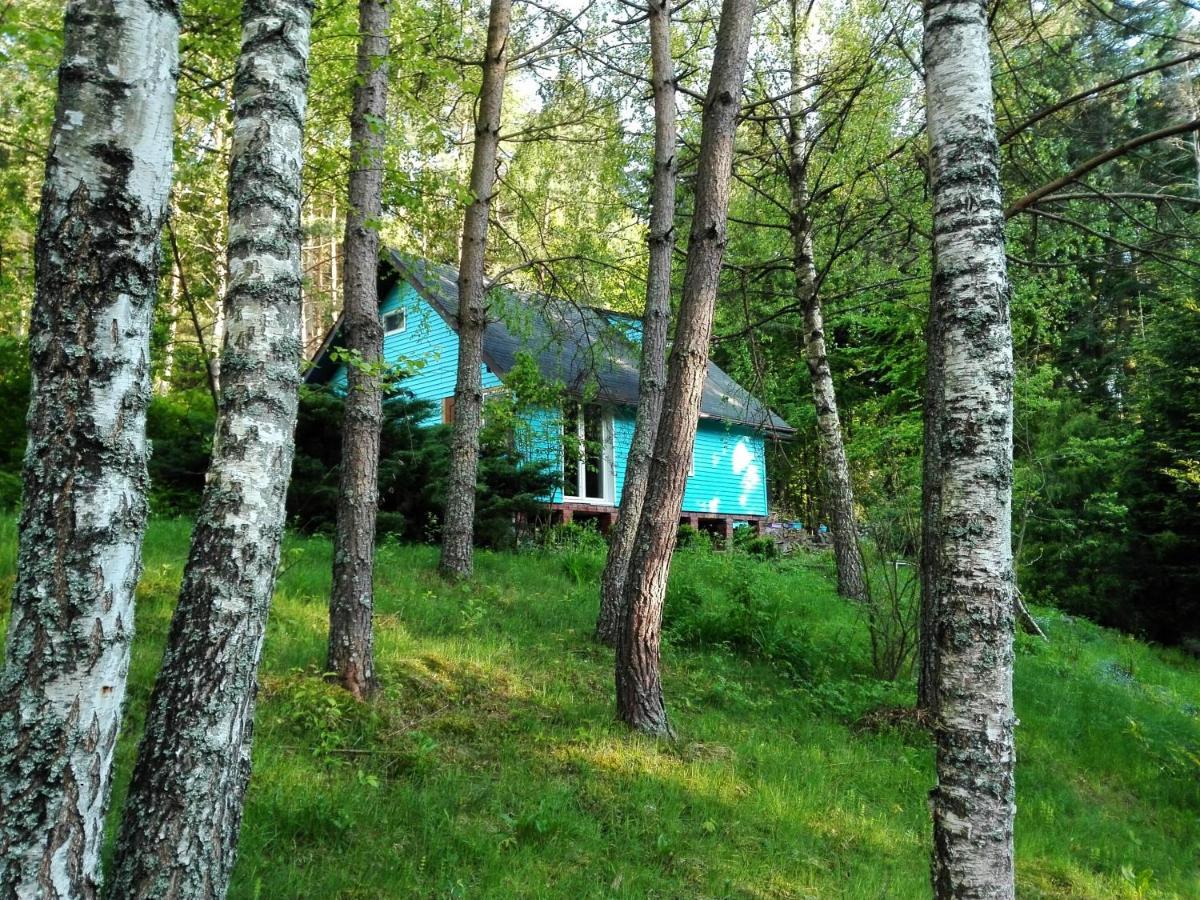 Domek Na Gorce Bieszczady Lesko Kültér fotó